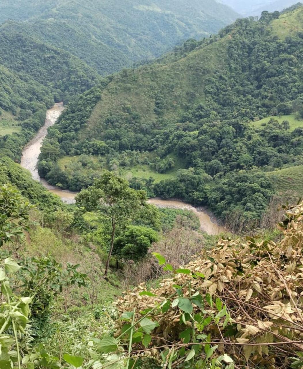 Vista aérea de un río serpenteando entre montañas y bosque en Acosta